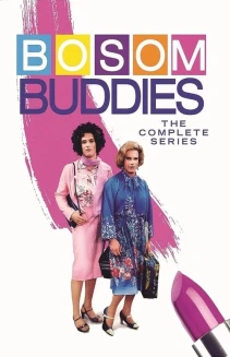 Watch Bosom Buddies online