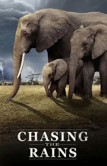 Watch Chasing the Rains online