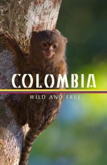 Watch Colombia - Wild and Free online