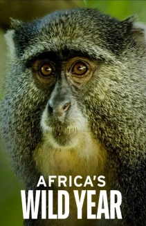 Watch Africa's Wild Year online