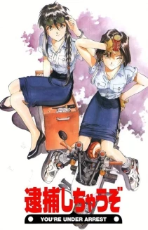 Watch You're Under Arrest! online