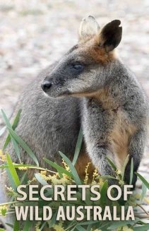 Watch Secrets of Wild Australia online