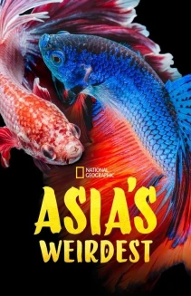 Watch Asia's Weirdest online
