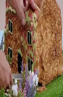 Watch Cake Week online