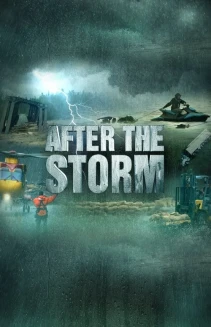 Watch After the Storm online