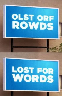 Watch Lost For Words online